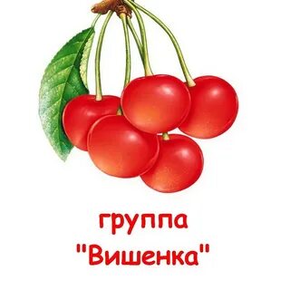 Группа сортов вишни 7