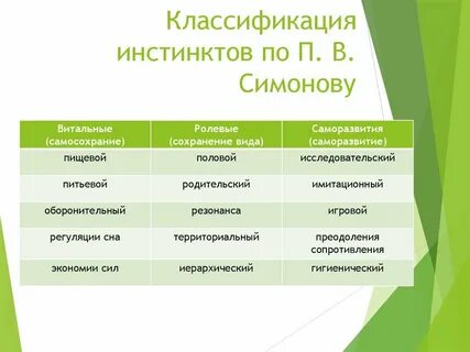 Витальный это простыми словами