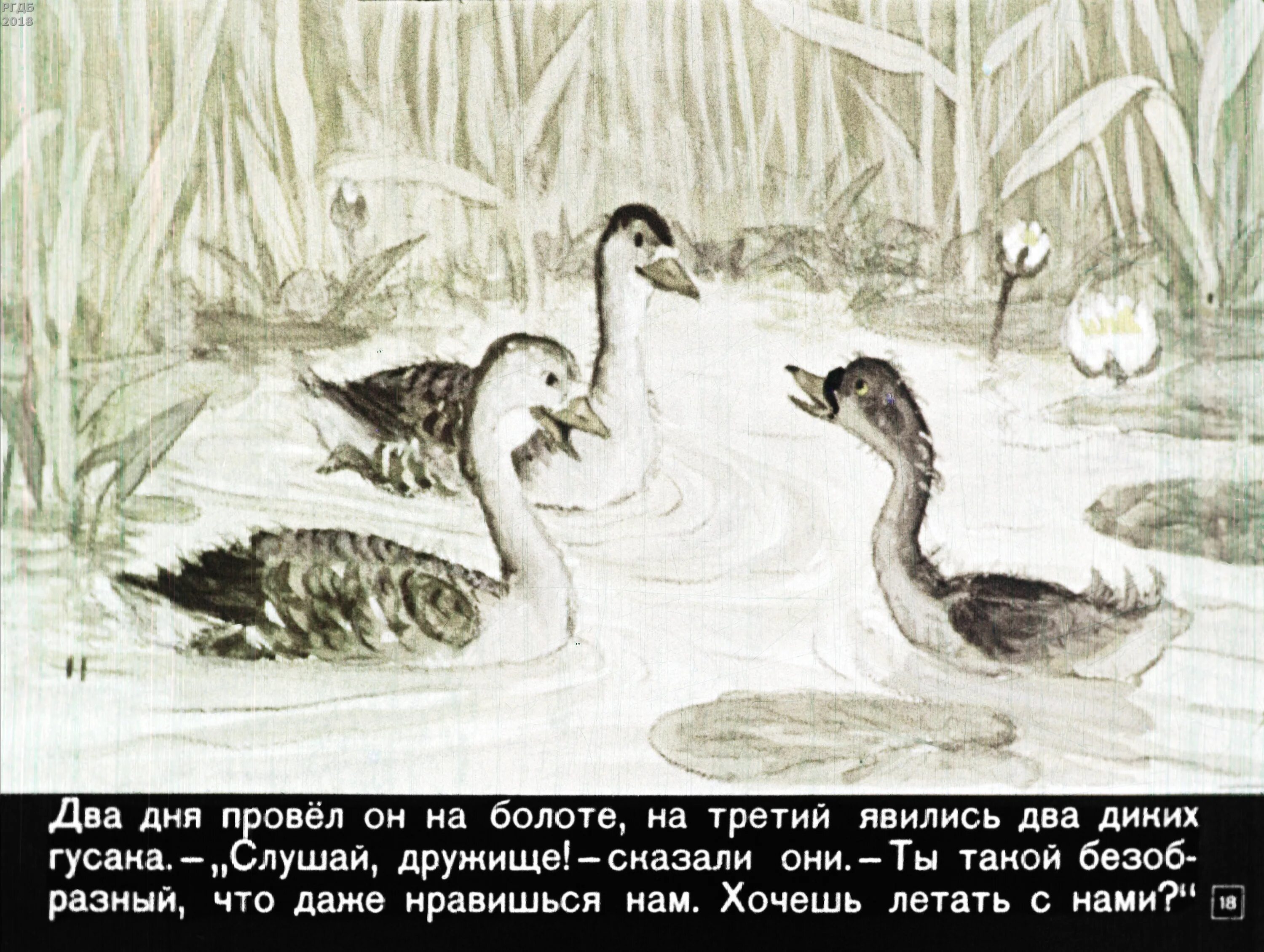 Гадкий утенок. Андерсон Гадкий утенок. Гадкий утенок на болоте. Болото Гадкий утенок. Сказка гадкий утенок дневник