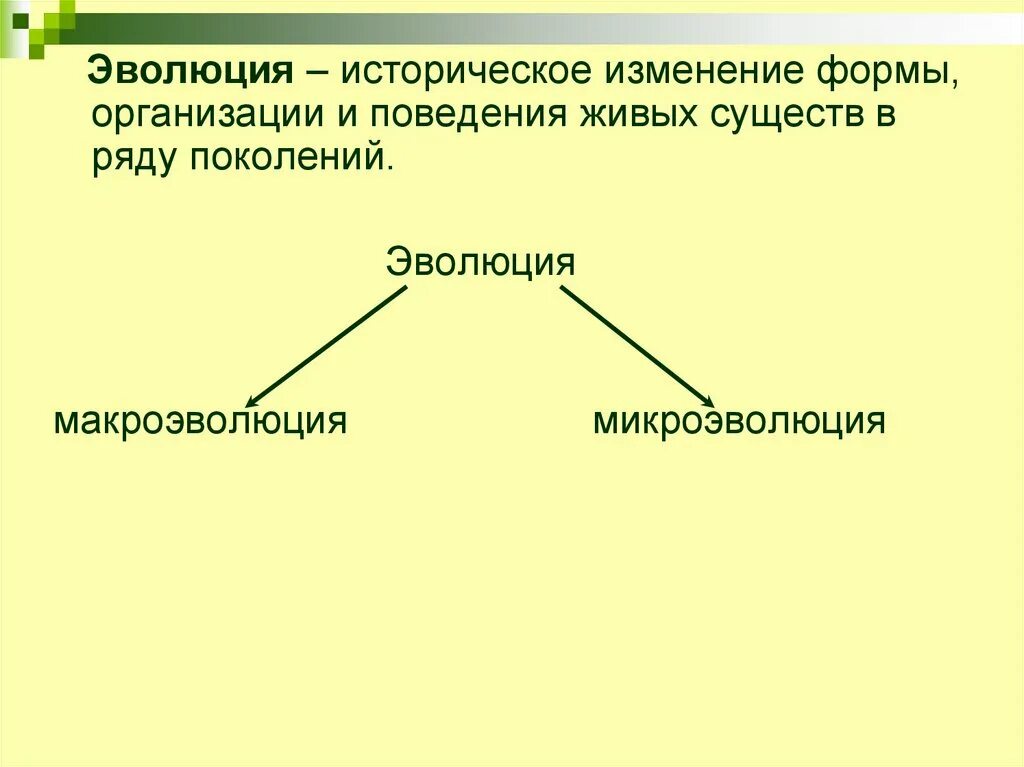 Определите по рисунку направления эволюции. Макроэволюция основные направления эволюции 9 класс. Главные направления эволюционного процесса. Основные направления эволюции схема. Главные эволюционные процессы.