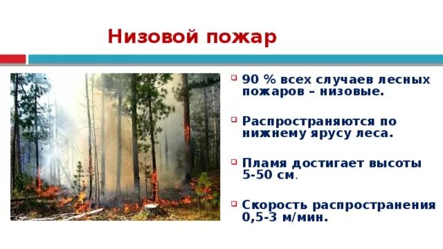 Профилактика лесных пожаров обж 7 класс. Низовые Лесные пожары профилактика. Вопросы по теме Лесные пожары. Лесные пожары ОБЖ 7 класс. Скорость распространения огня в лесу.