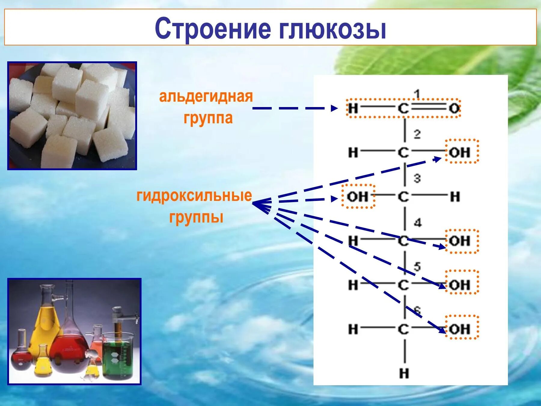 Глюкоза строение свойства применение. Строение глюкозы. строение сахара. структура сахара. гидроксильные группы в глюкозе.