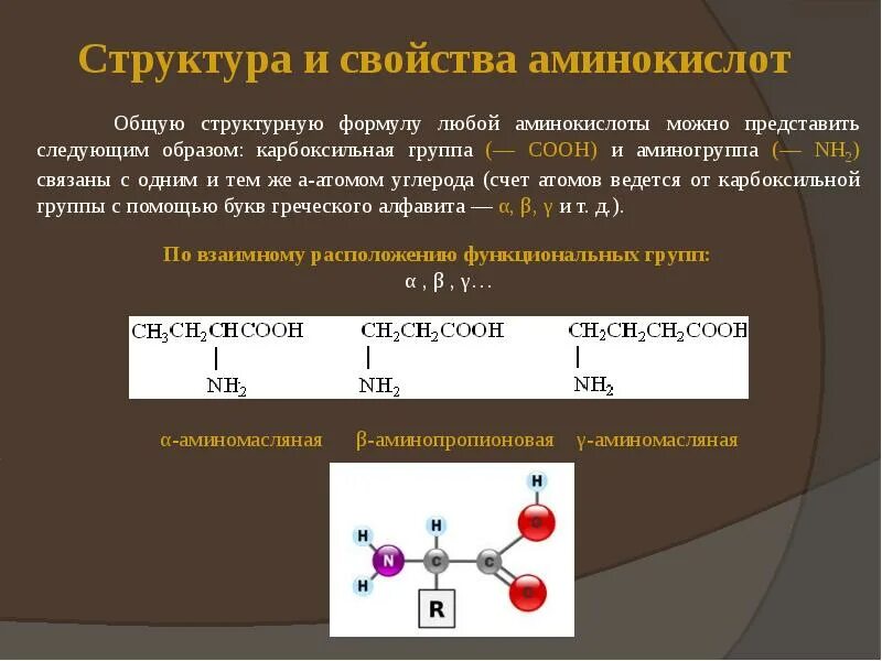 Свойства и функции состоят из аминокислот. Аминокислота структура формула. общая структурная формула аминокислоты. строение аминокислот и структура. состав и строение аминокислот.