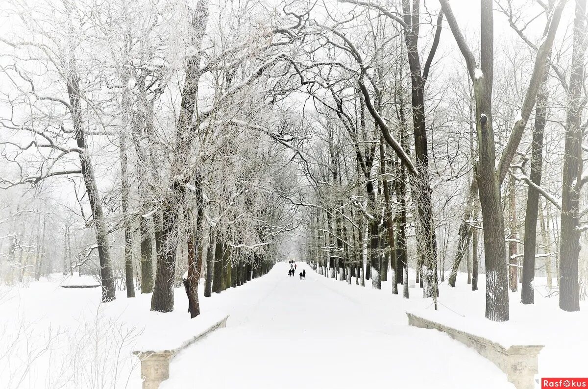 Парк яуза зимой. Парк культуры и отдыха калуга зимой. Калуга парк культуры зимой. Зима в парке. Парк зимой.
