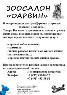 Дарвин ветклиника ульяновск верхняя