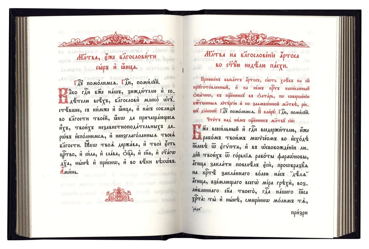 Псалтырь на церковнославянском читать. Молитвослов + Псалтирь на церковно-Славянском кожа. Псалтирь на церковно-Славянском в кожаном переплете. Псалтирь кожаный переплет церковнославянский. Новый Требник на ЦСЯ.