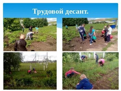 Конспект трудового десанта