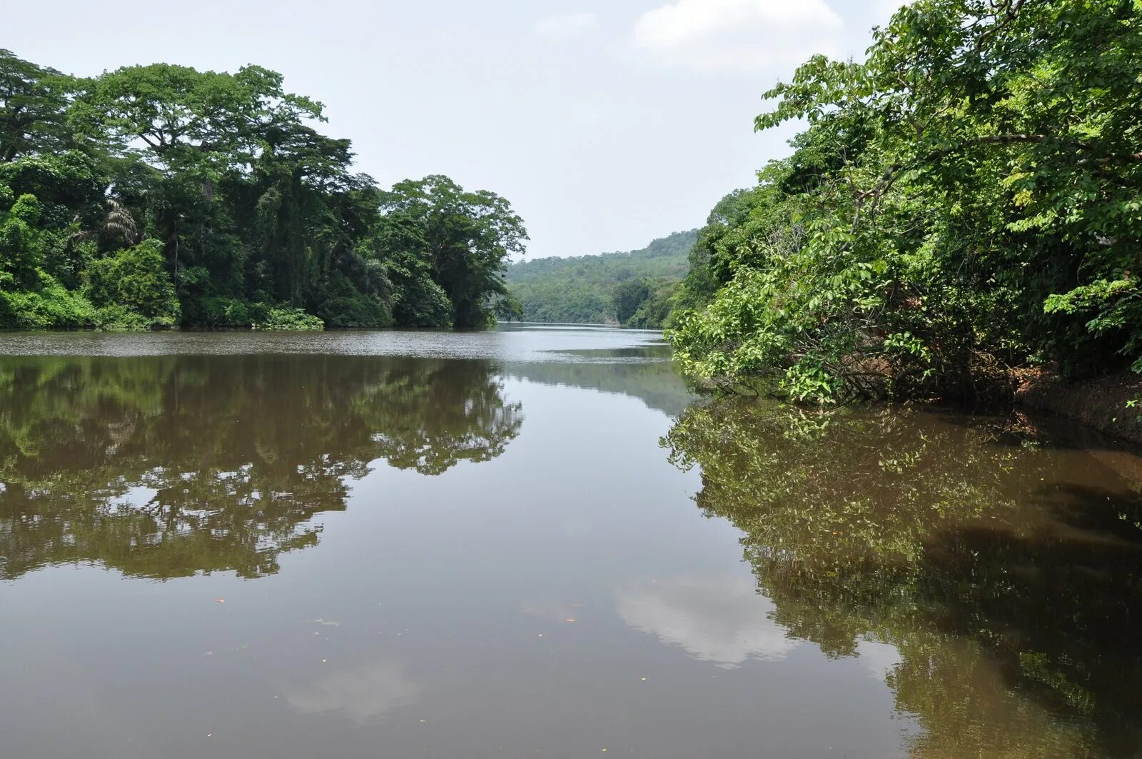 The country many rivers. Река Мано в Либерии. Либерия (Коста-Рика). Сьерра-Леоне (река). Река Кавалли в Либерии.