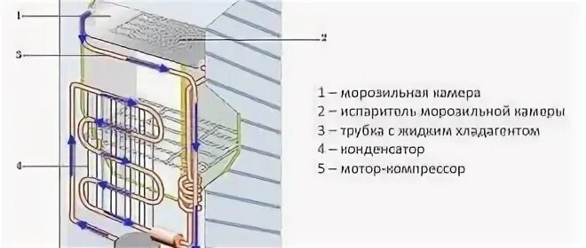 Через сколько после транспортировки можно включать холодильник. Как перевезти холодильник лежа. Для перемещения холодильника. Как правильно перевозить холодильник ноу Фрост. Как правильно перевозить холодильник лежа.