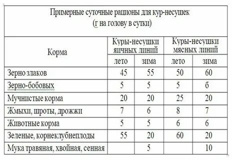 Пропорции комбикорма своими руками