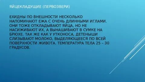 Эо и дот
