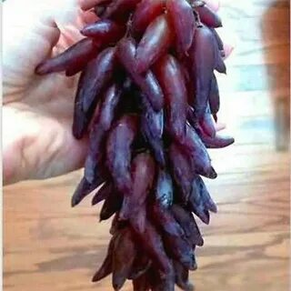 Виноград ведьмины пальцы