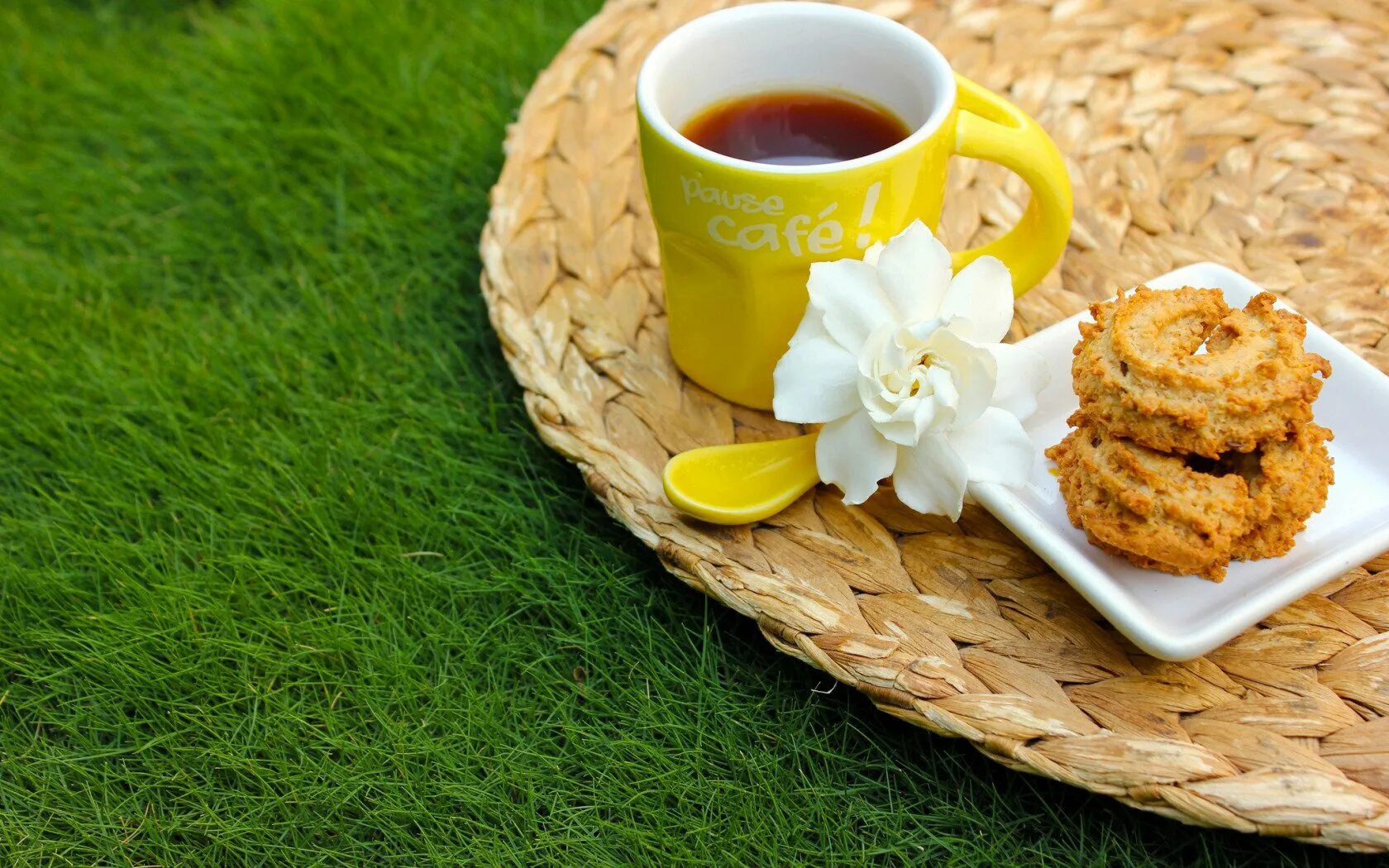 Утро года 5 букв. Летний чай. Солнечное утро и кофе. Кофе на природе. Чай на природе.