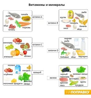 Источники витаминов и минеральных веществ