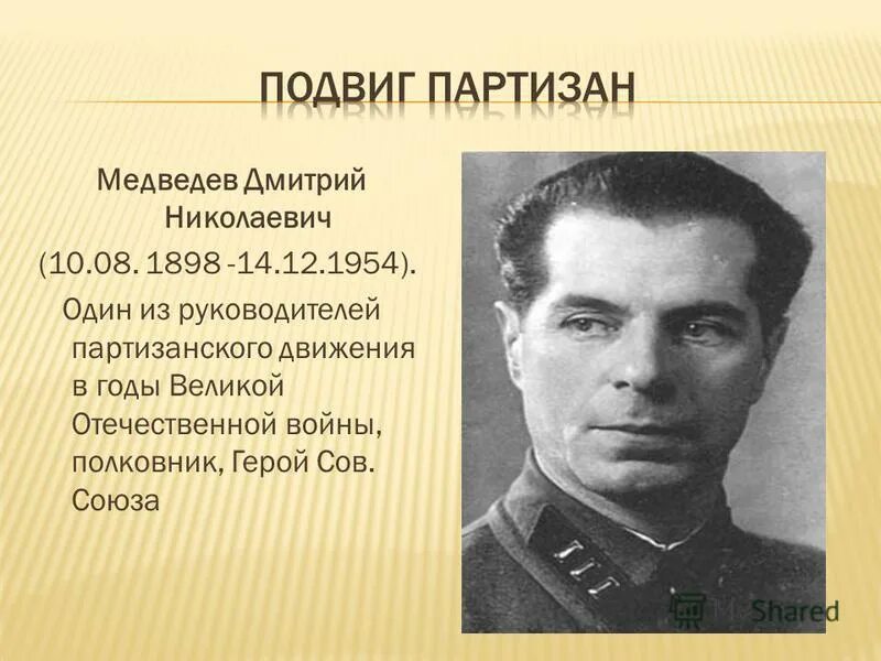 руководитель партизанского движения в годы великой. партизанское движение. партизанское движение в краснодарском крае в годы вов. партизаны а. константин заслонов партизан.
