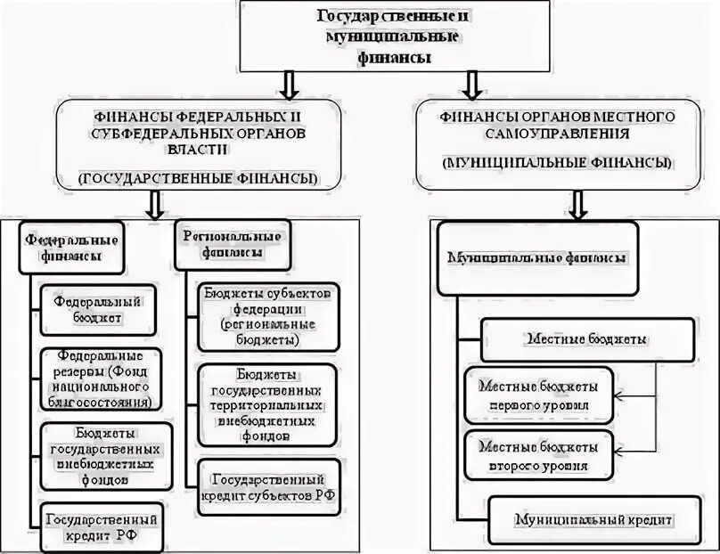 Формы организации муниципальных финансов