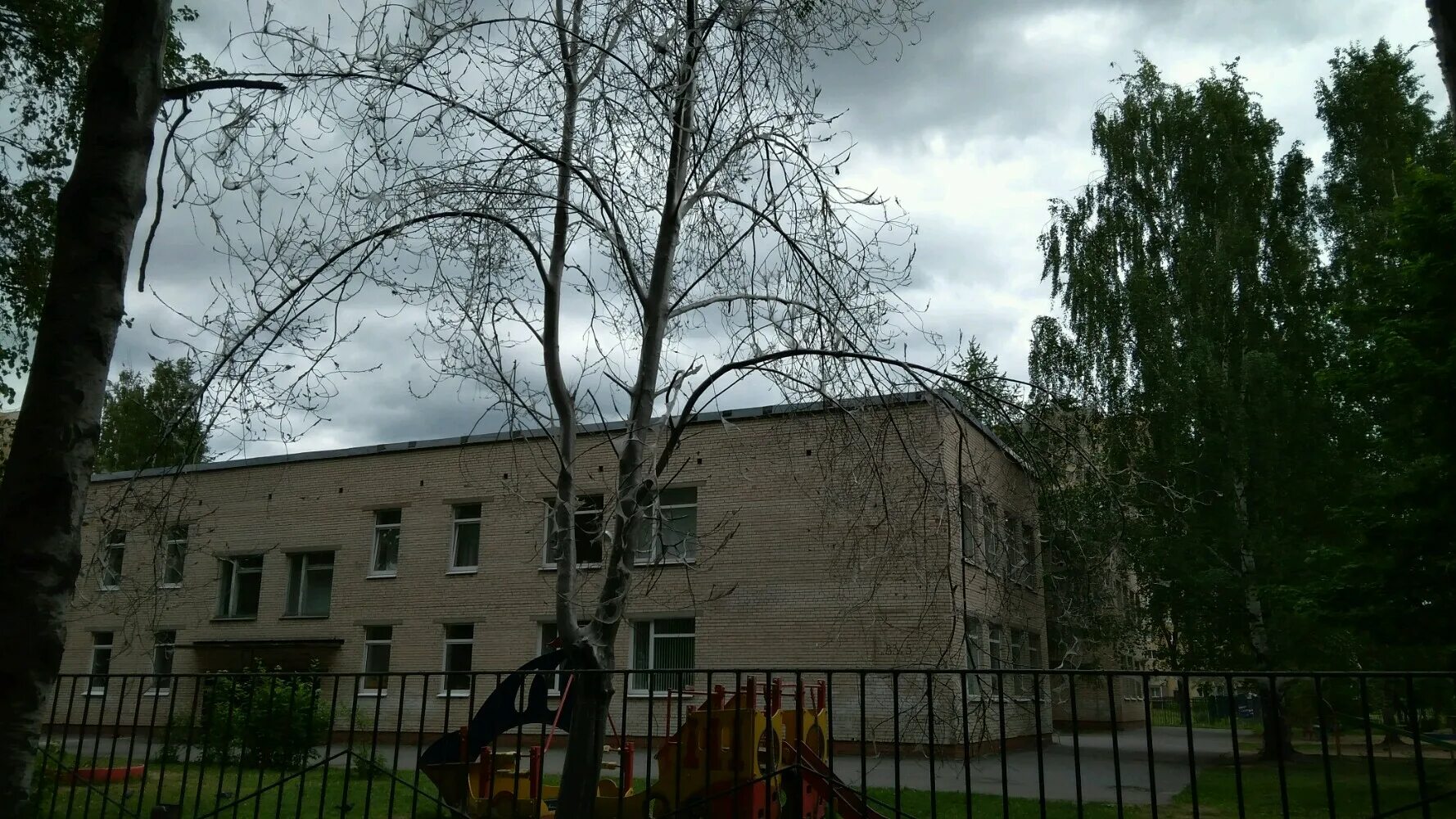 Прогимназия 677. Прогимназия санкт петербург. Школа 677 санкт-петербург. Чоу медицинская гимназия санкт-петербург. Прогимназия санкт петербург.