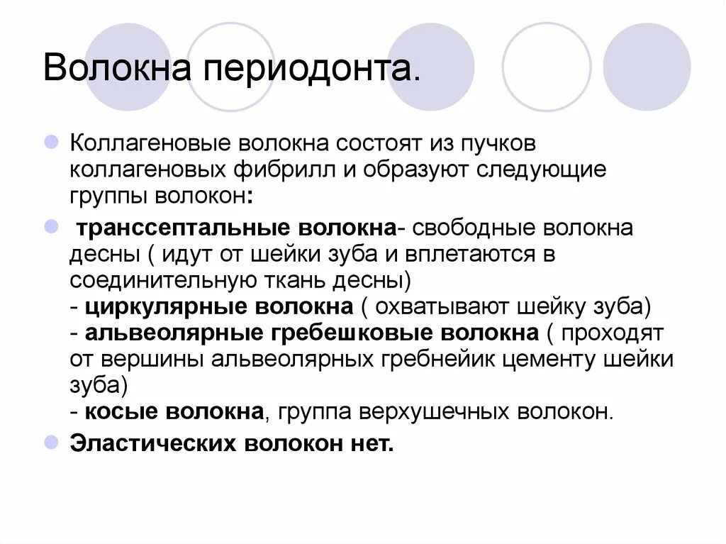 Особенности расположения волокон в разных отделах периодонта Периодонт зуба строение, функции и типы волокон (схема), пародонт