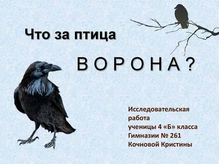 Ворона звуки разбор