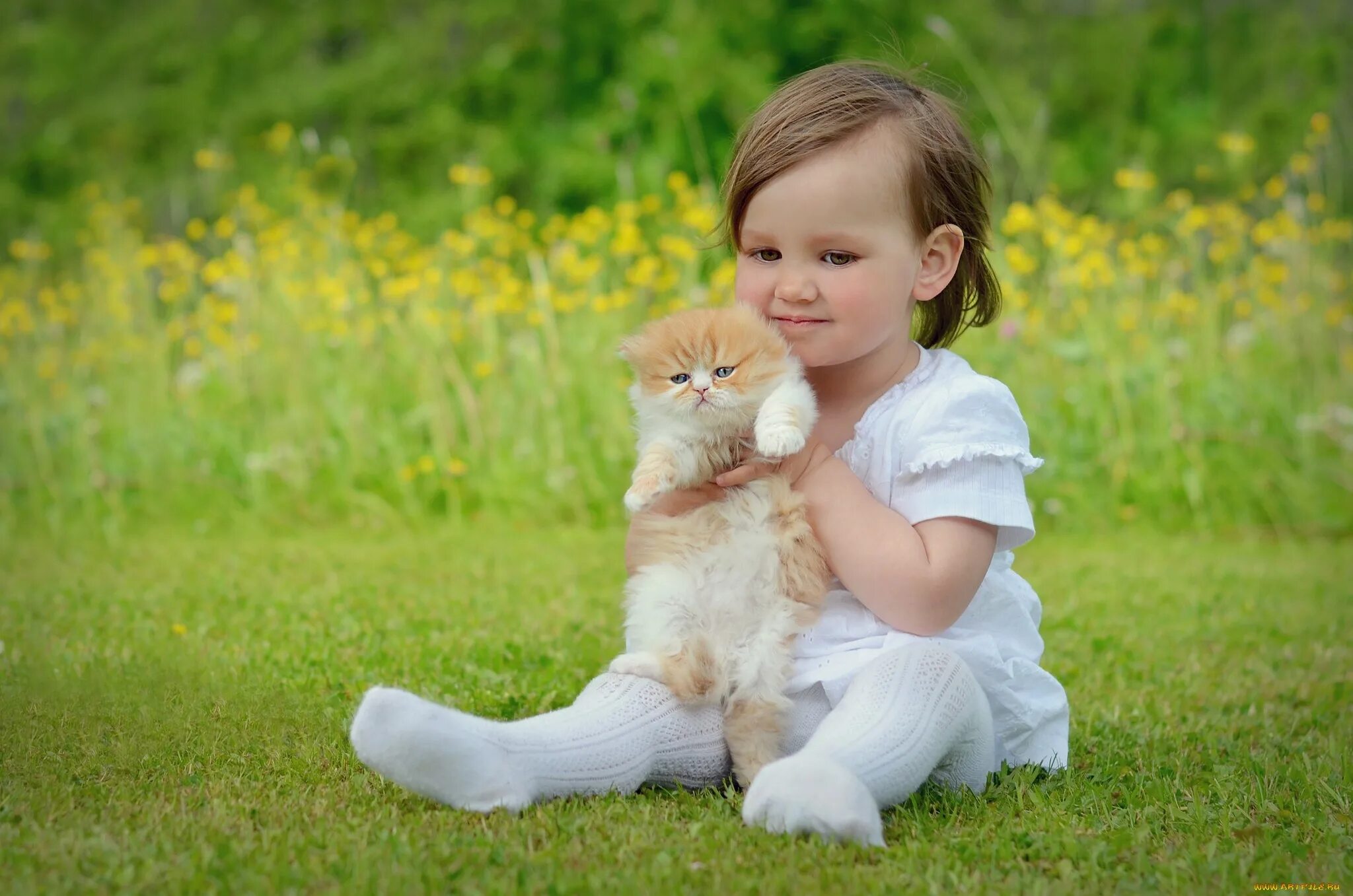 Котенок играет малыша. Для детей. Животные. Девочка с котятами. Маленькие дети и животные. Котёнок-ребёнок.