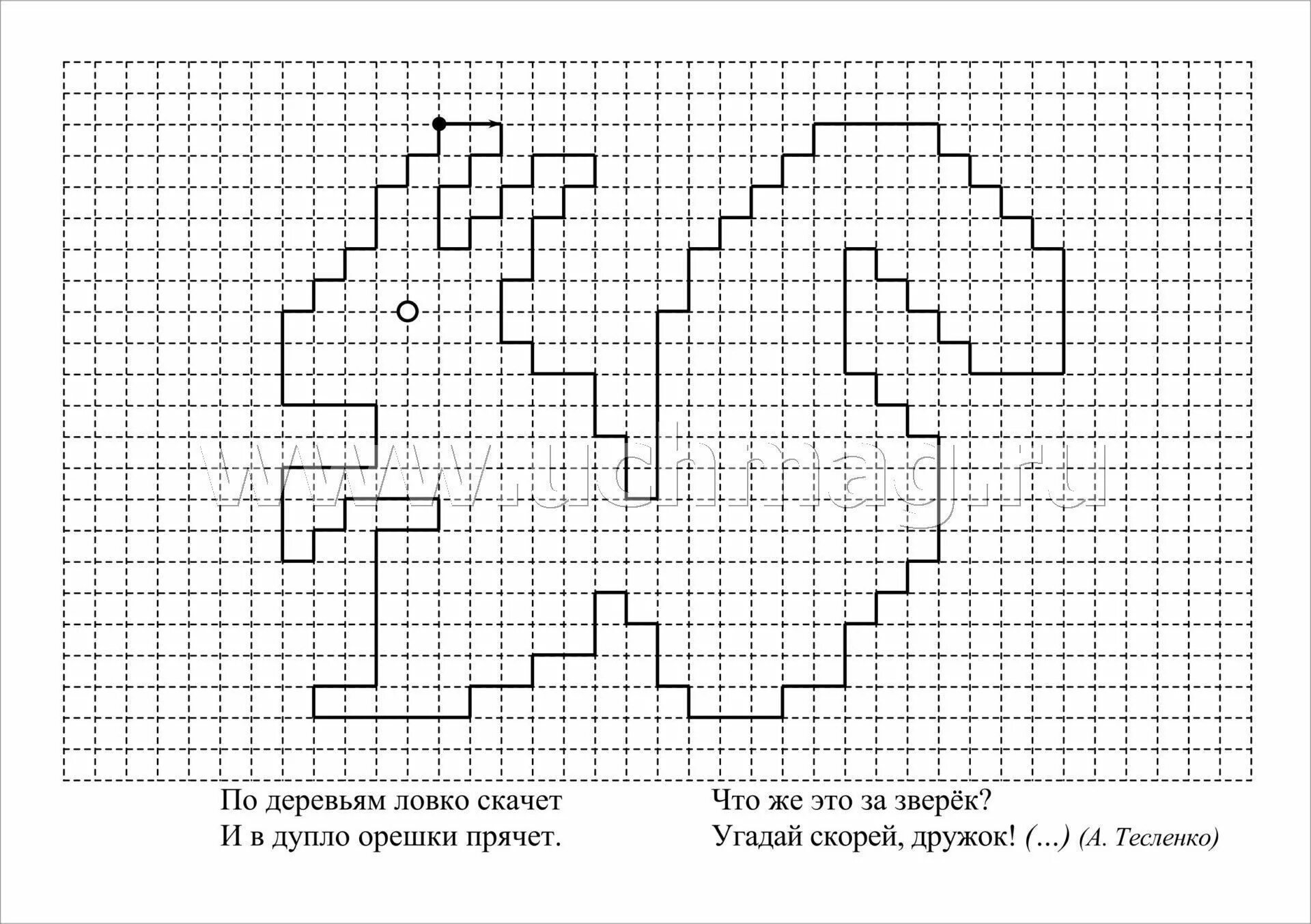 Графический диктант для дошкольников белка. Рисунок по клеткам графический. Рисование по клеточкам для детей. Рисование по клеткам графический диктант.