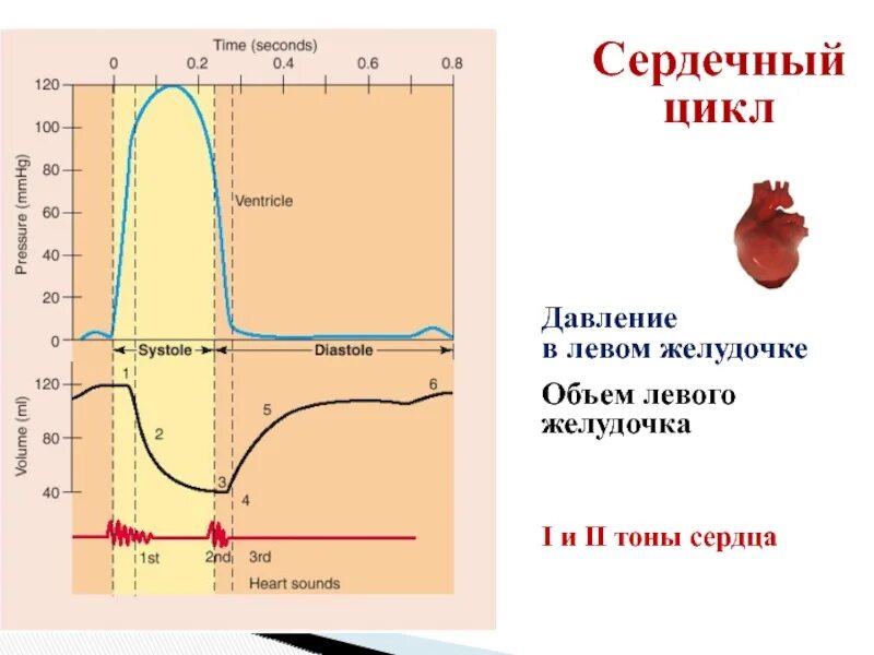Диаграмма изменения давления