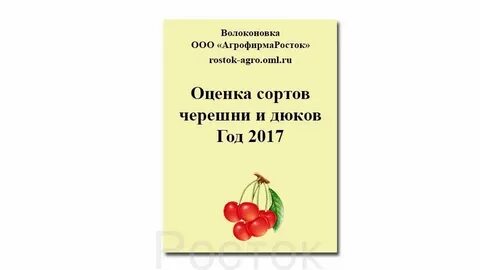 Росток интернет магазин каталог