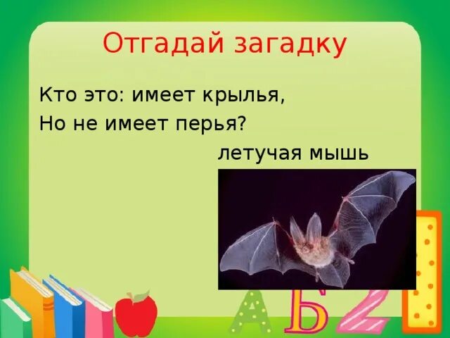 Мышь загадка для детей. Мышь загадка для детей