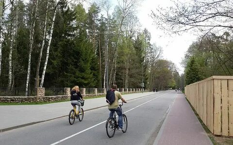 Экскурсии в пущу