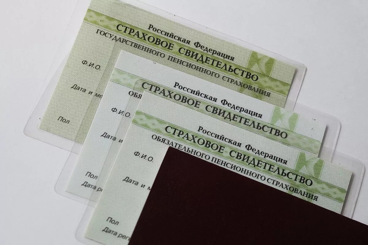 Как получить копию снилс. Снилс. зеленая пластиковая карточка. снилс пластиковая карточка. снилс зеленая карточка.