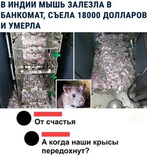 Однажды мышь запрыгнула на самый верх банки
