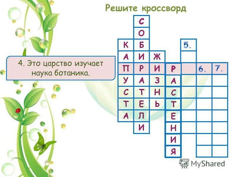 Кроссворд на тему разнообразие животных 3 класс. Кроссворд на тему одноклеточные. Кроссворд по географии животные и растения. Кроссворд на тему животные. Кроссворд по биологии.