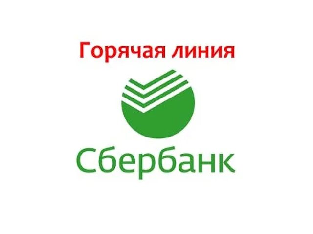 Горячая линия сбербанка телефон бесплатно. Номер горячей линии сбербанка россии. Горячая линия сбербанка телефон бесплатно. Горячаялигия сбербанка. Сбербанк горячая бесплатная санкт петербург.