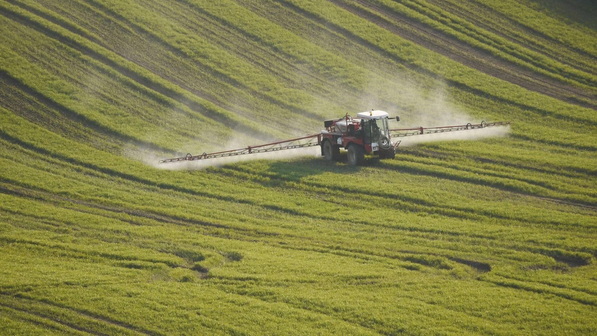 Распыление пестицидами полях. Распыление удобрений на полях. Обработка полей. Обработка полей ядохимикатами. Влияние пестицидов на растения