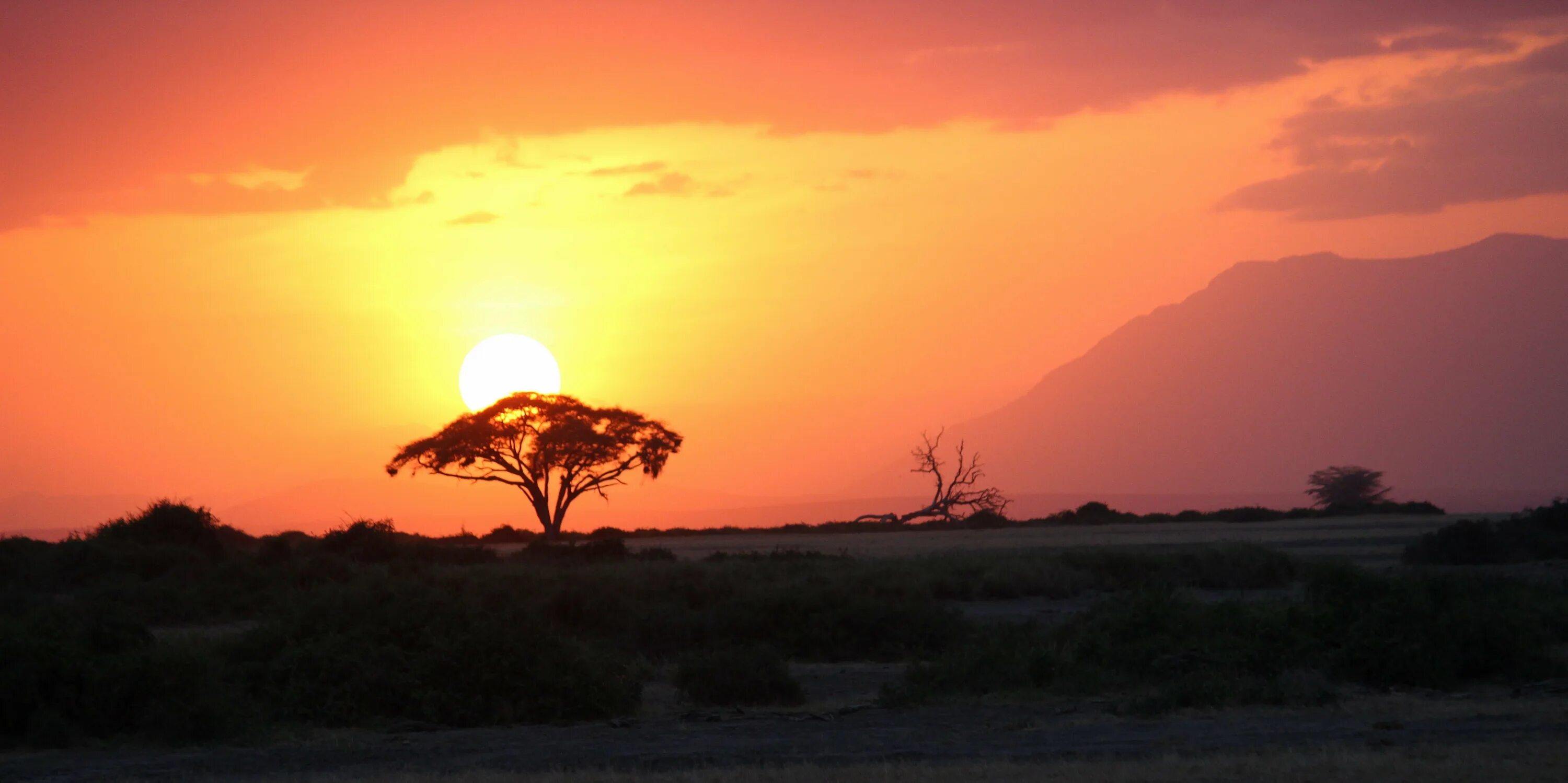 Каждое утро в африке. Зимбабве Саванна. Африканская яркая Саванна. Рассвет над африканской саванной Кения. Восточная Африка природа.