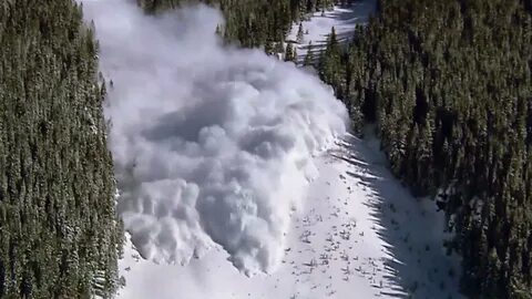 Fill in avalanche tornado pollution endangered
