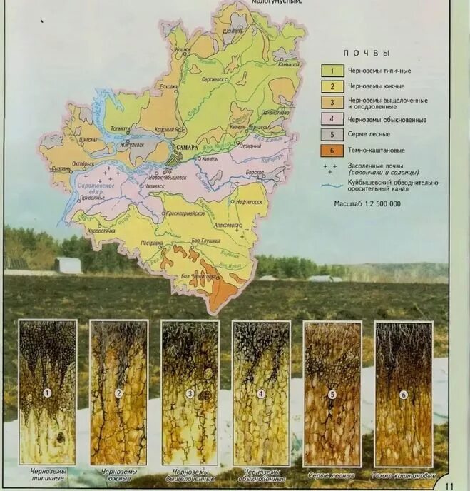 Природная зона смоленской области. Почвы Поволжья карта. Карта почв Самарской области. Самара геологический Тип почвы. Типы почв Поволжья.
