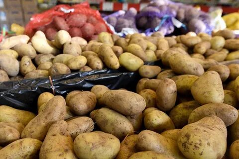На рынке продает картошку