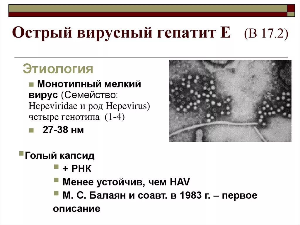 Гепатиты а в с д е. Структура вируса гепатита е. Гепатит е возбудитель. Вирусный гепатит е этиология. Этиология острого вирусного гепатита е.