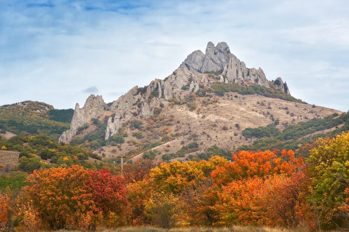 Где в крыму заповедники