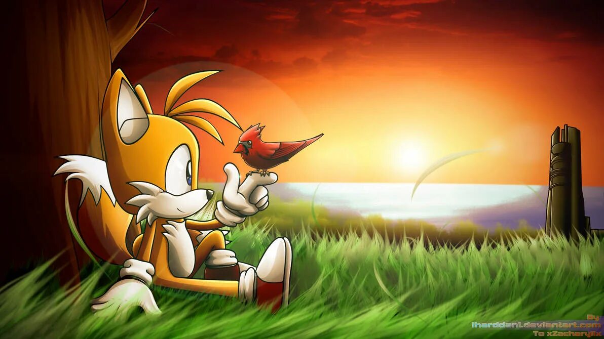 Tails home. Tails home. Лисёнок тейлз. Лисёнок тейлз. Tails home.