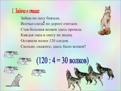 Сколько платят за волка