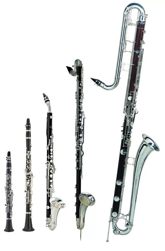 Кларнет и фагот. Бас-кларнет деревянный духовой музыкальный инструмент. Флейта кларнет и Фагот. Кларнет гобой Фагот музыкальный инструмент-. Кларнет духовой музыкальный инструмент.