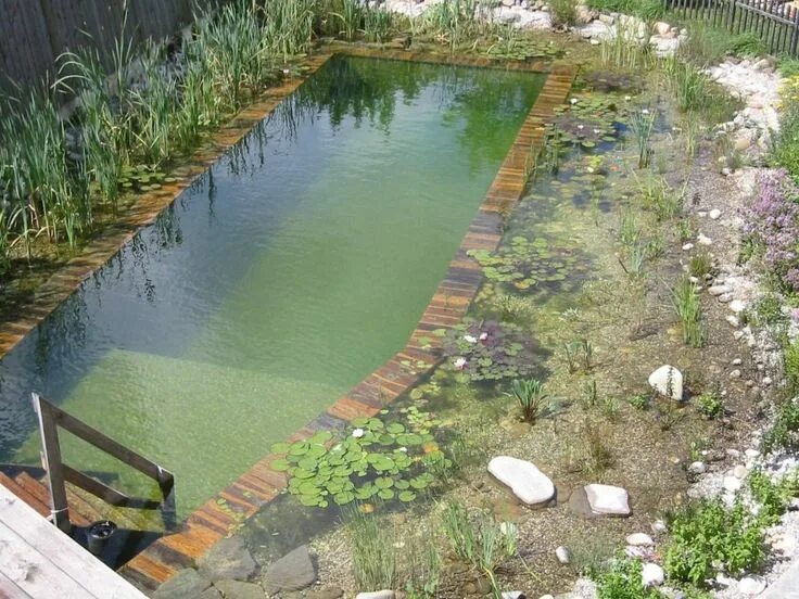 Простой и дешевый способ сделать пруд на даче Small backyard ponds, Backyard wat