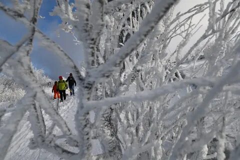 Эх зима зима скрип