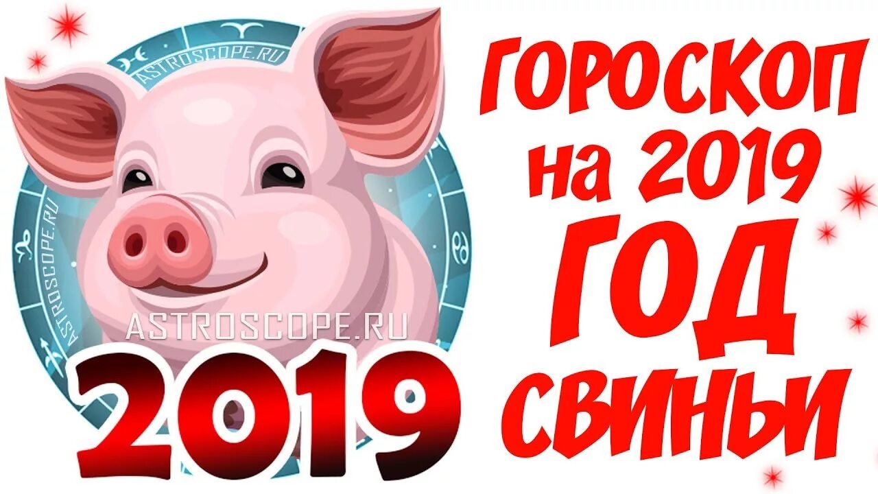 2019 Год. Год 2019 года. Год свиньи 2019. Гороскоп на 2019 год.