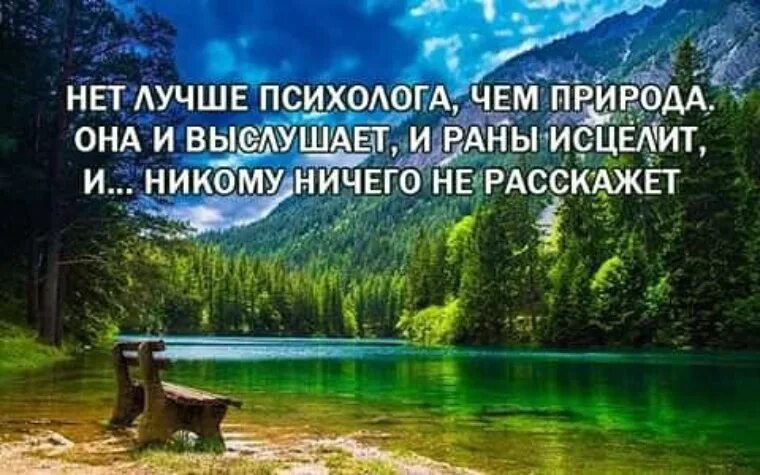Красивое стихотворение о природе. Высказывания о природе. Умные мысли о природе. Высказывания о природе. Цитаты про природу.