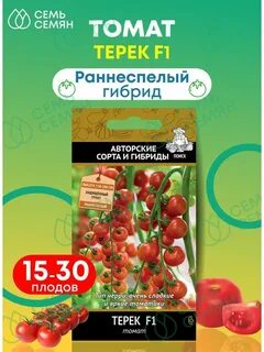 Томат терек