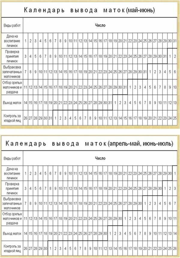 Календарь вывода пчелиных маток. Таблица вывода пчелиных маток. График вывода маток пчел таблица. Календарь пчеловода вывода маток.