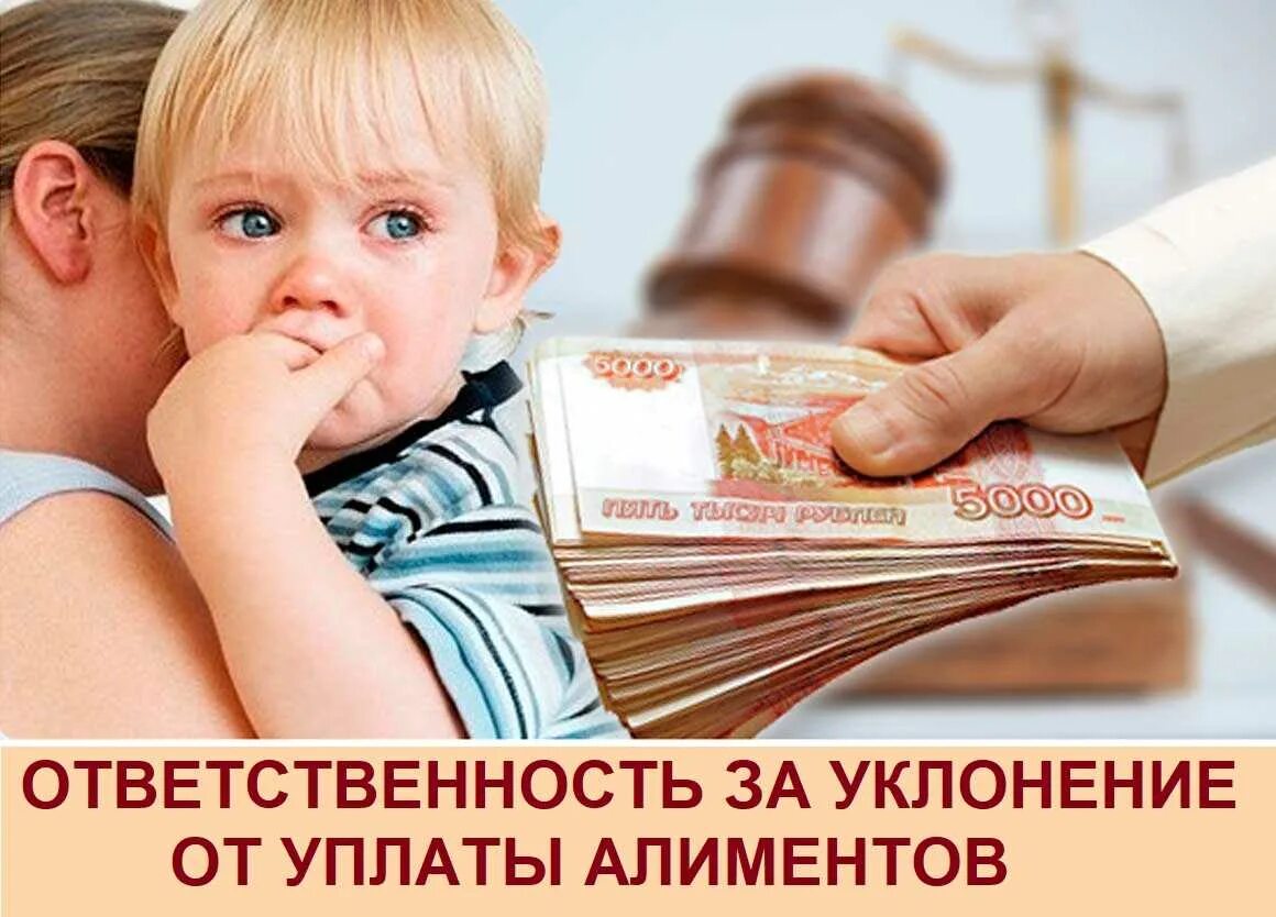 Алименты платят девушки. Алименты на ребенка. пенсия по потере кормильца. пенсия для детей. пенсия по потере кормильца картинки.
